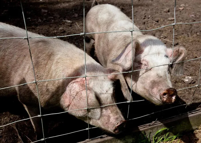 2 Bed In York Oc-g0045 * Holtby